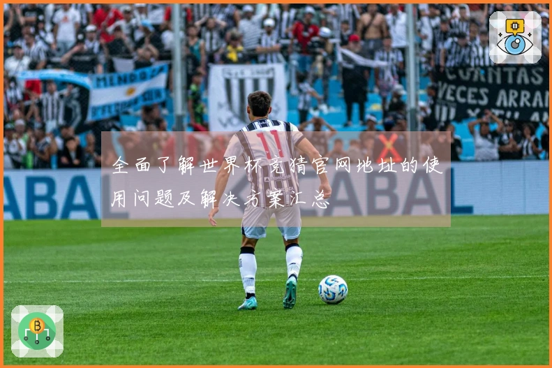 全面了解世界杯竞猜官网地址的使用问题及解决方案汇总