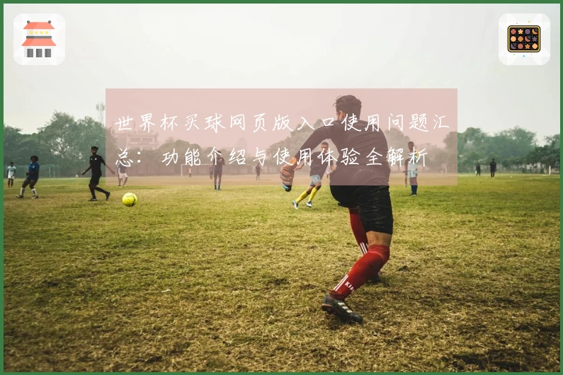 世界杯买球网页版入口使用问题汇总：功能介绍与使用体验全解析